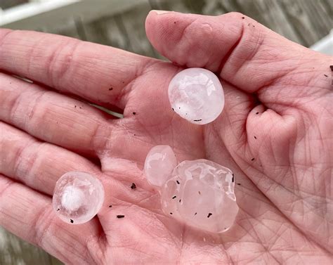 the bachelor torrentz|Hail storm pelts New England but how do these .